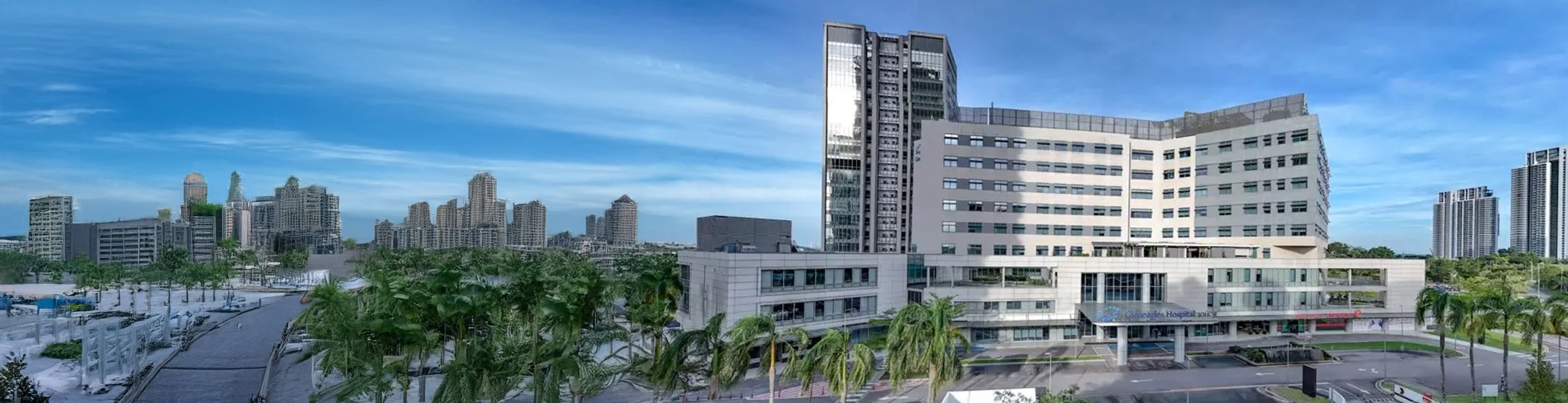 Gleneagles Hospital Johor Package Banner